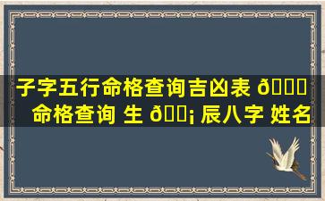 子字五行命格查询吉凶表 🍀 「命格查询 生 🐡 辰八字 姓名 五行」